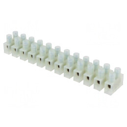 Regletă de Conexiuni cu Șurub 6mm2 400V 12 Piste | Electronic-mag.ro | Componente Electronice