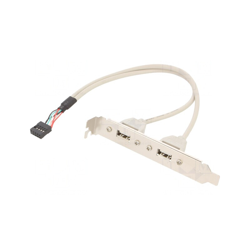 Adaptor USB A Soclu x2 Conector 10pin 0.25m | Electronic-mag.ro | Componente Electronice
