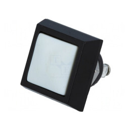 Comutator Anti-Vandalism 2 Pozitii SPST-NO 2A 36V IP65 | Electronic-mag.ro | Componente Electronice