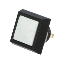 Comutator Anti-Vandalism 2A 36VDC IP65 | Electronic-mag.ro | Componente Electronice