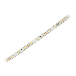 Bandă LED alb rece 3528 12V 60 LED/m 8mm IP20