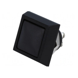 Comutator Anti-Vandalism 2A 36VDC IP65 | Electronic-mag.ro | Componente Electronice