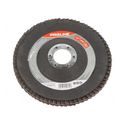 Disc de șlefuit cu lambouri 125mm 22,2mm | Electronic-mag.ro | Componente Electronice