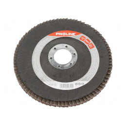 Disc de șlefuit cu lambouri 125mm 22,2mm | Electronic-mag.ro | Componente Electronice