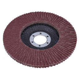 Disc de șlefuit cu lambouri 125mm 22,2mm | Electronic-mag.ro | Componente Electronice