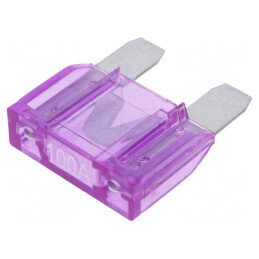 Siguranță Auto 100A 32VDC MAXI 29.7mm | Electronic-mag.ro | Componente Electronice