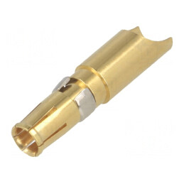 Conector Pin Mamă Aurit 10AWG-8AWG 40A | Electronic-mag.ro | Componente Electronice