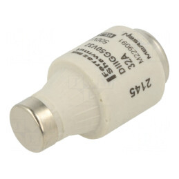 Siguranţă gG 32A 500V Industrială DIII | Electronic-mag.ro | Componente Electronice