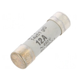 Siguranță cilindrică industrială gG 12A 690VAC | Electronic-mag.ro | Componente Electronice