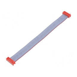 Cablu Panglică 10 PIN 2x5 Mufă | Electronic-mag.ro | Componente Electronice