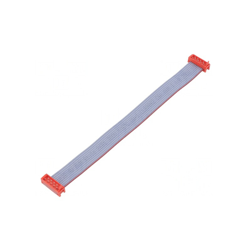 Cablu Panglică 10 PIN 2x5 Mufă | Electronic-mag.ro | Componente Electronice