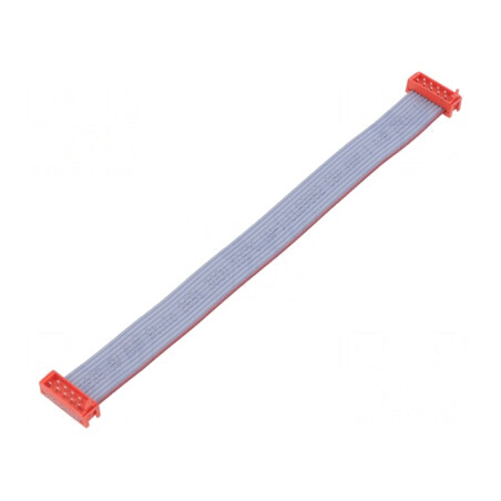 Cablu Panglică 10 PIN 2x5 Mufă | Electronic-mag.ro | Componente Electronice