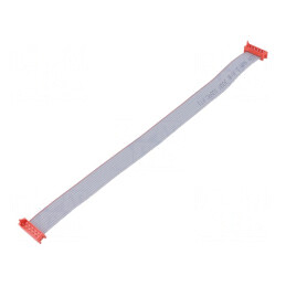 Cablu Panglică 2x5 PIN 10 Conectori | Electronic-mag.ro | Componente Electronice