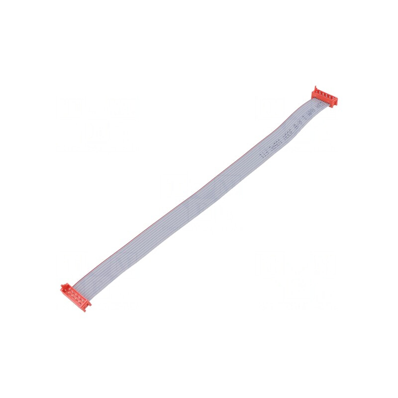 Cablu Panglică 2x5 PIN 10 Conectori | Electronic-mag.ro | Componente Electronice