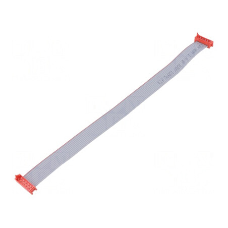 Cablu Panglică 2x5 PIN 10 Conectori | Electronic-mag.ro | Componente Electronice