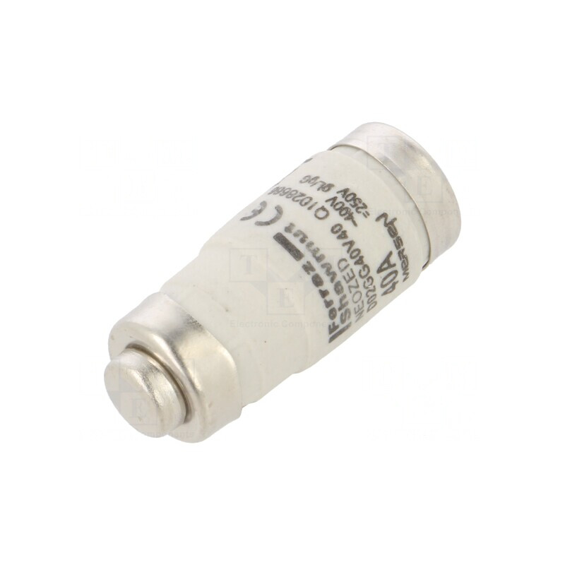 Siguranță Industrială gG 40A 400VAC 250VDC D02 | Electronic-mag.ro | Componente Electronice Siguranță Industrială gG 40A 400VAC 250VDC D02 | Electronic-mag.ro | Componente Electronice