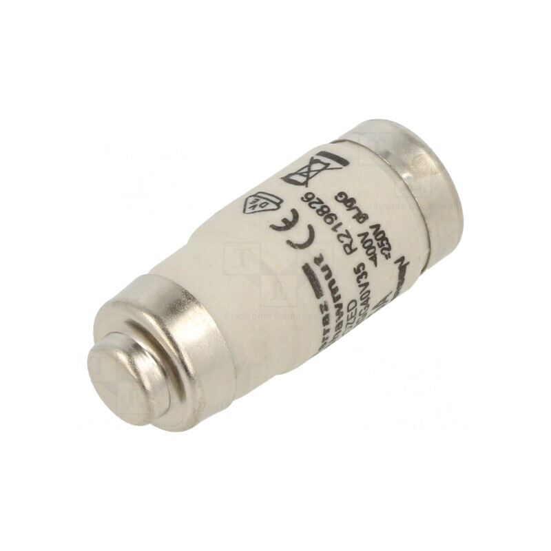 Siguranță Industrială gG 35A 400VAC 250VDC D02 | Electronic-mag.ro | Componente Electronice