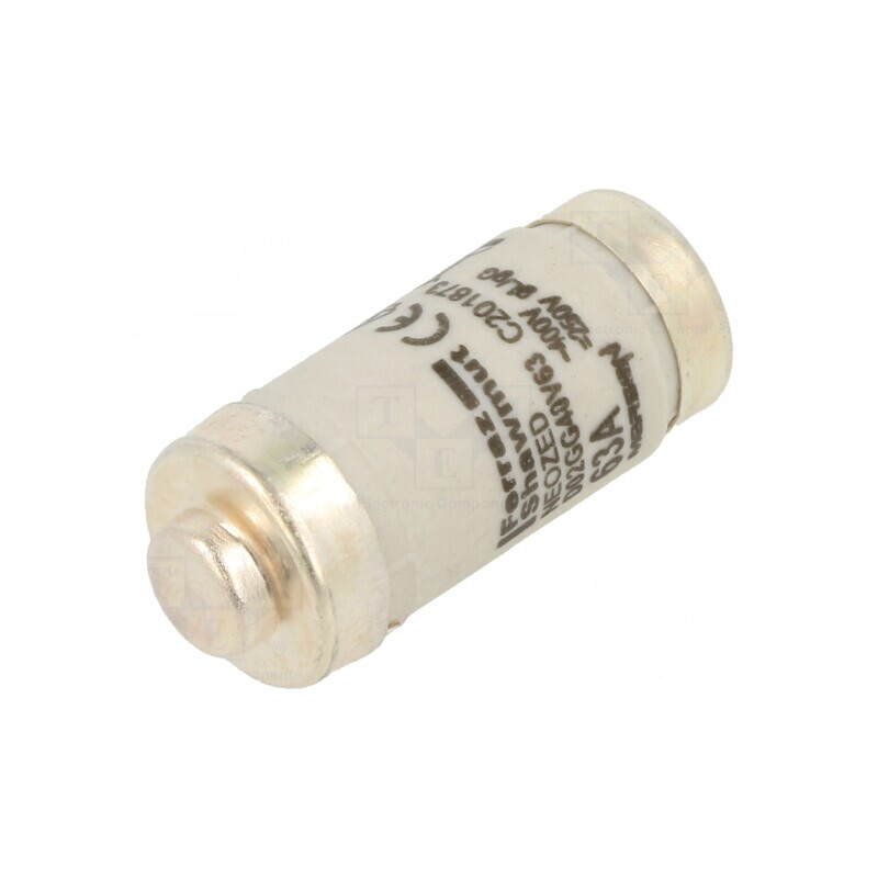 Siguranță industrială gG 63A 400V 250V | Electronic-mag.ro | Componente Electronice