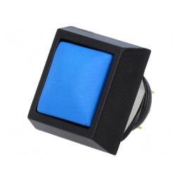 Comutator Anti-Vandalism SPST-NO 2A 36V IP65 | Electronic-mag.ro | Componente Electronice