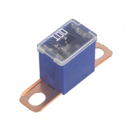 Siguranță auto 100A JAPVAL | Electronic-mag.ro | Componente Electronice