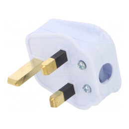 Conector de Alimentare AC 2P PE 250V 5A Alb 3 Pini