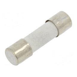 Siguranță întârziată 1,6A 250V ceramică 5x20mm | Electronic-mag.ro | Componente Electronice