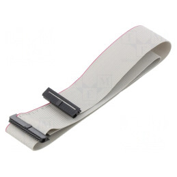 Cablu Panglică IDC 1mm 60cm | Electronic-mag.ro | Componente Electronice