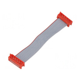 Cablu Panglică cu Conectori PIN 10, 2x5 Mufă | Electronic-mag.ro | Componente Electronice