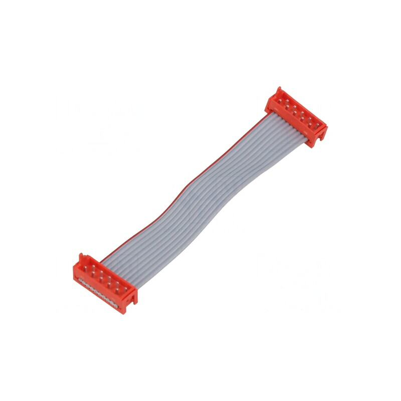 Cablu Panglică cu Conectori PIN 10, 2x5 Mufă | Electronic-mag.ro | Componente Electronice
