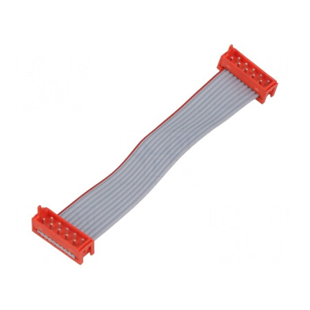 Cablu Panglică cu Conectori PIN 10, 2x5 Mufă | Electronic-mag.ro | Componente Electronice