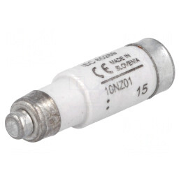 Siguranță întârziată 10A 400VAC 250VDC D01 | Electronic-mag.ro | Componente Electronice