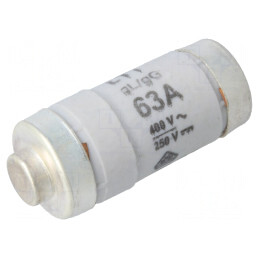 Siguranță Industrială gG/gL 63A 400V 250V D02 | Electronic-mag.ro | Componente Electronice