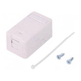 Soclu Carcasă RJ45 Keystone Albă | Electronic-mag.ro | Componente Electronice