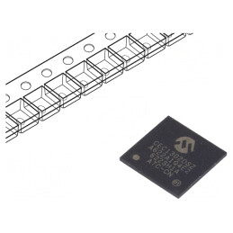 Microcontroler ARM WFBGA144 3.6V 128kB SRAM | Electronic-mag.ro | Componente Electronice