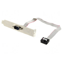 Adaptor D-Sub 9pin la 10pin 0.25m cu Brățară pe Slot | Electronic-mag.ro | Componente Electronice