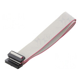 Cablu Panglică IDC 1mm 0,6m | Electronic-mag.ro | Componente Electronice