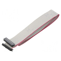 Cablu Panglică IDC 1mm 0.6m | Electronic-mag.ro | Componente Electronice