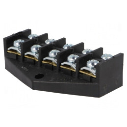 Regletă de Conexiuni cu Șurub 10mm2 400V 5 Piste | Electronic-mag.ro | Componente Electronice