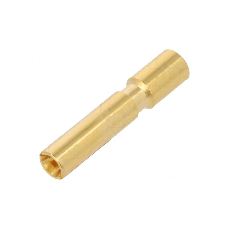 Pin mamă aurit 2mm crimpat pe cablu | Electronic-mag.ro | Componente Electronice Pin mamă aurit 2mm crimpat pe cablu | Electronic-mag.ro | Componente Electronice