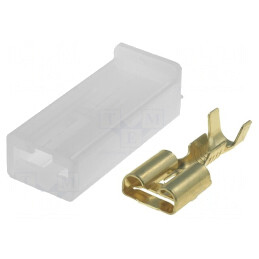 Set 10 Terminale Mamă 6.3mm cu Protecție | Electronic-mag.ro | Componente Electronice