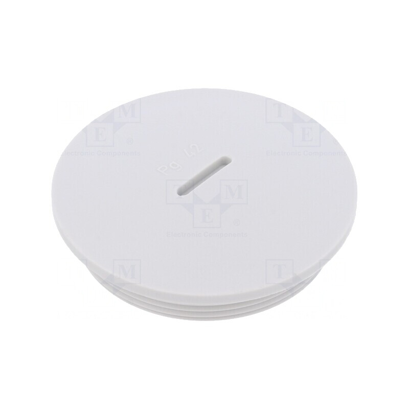 Capac de protecţie PG42 IP54 poliamidă gri | Electronic-mag.ro | Componente Electronice