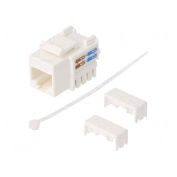 Soclu RJ45 Cat6 Keystone Alb | Electronic-mag.ro | Componente Electronice