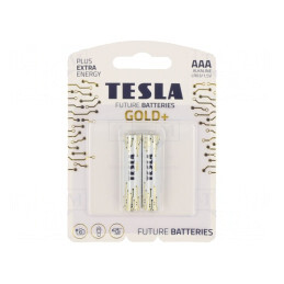 Baterie alcalină AAA 1,5V, 2 buc. | Electronic-mag.ro | Componente Electronice