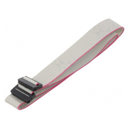 Cablu Panglică IDC 1mm 0.6m | Electronic-mag.ro | Componente Electronice