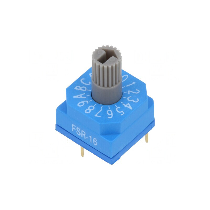 Întrerupător Codificare HEX/BCD 16 Poz THT 80mΩ | Electronic-mag.ro | Componente Electronice Întrerupător Codificare HEX/BCD 16 Poz THT 80mΩ | Electronic-mag.ro | Componente Electronice