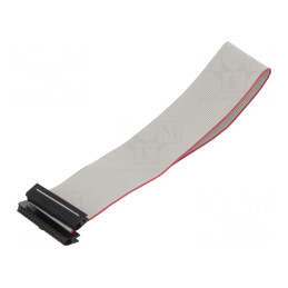 Cablu Panglică IDC 1mm 0,3m | Electronic-mag.ro | Componente Electronice