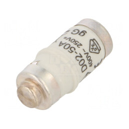 Siguranță gG Întârziere 50A 400V 250V | Electronic-mag.ro | Componente Electronice