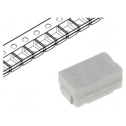 Siguranţă Ultra-Rapid 250mA 125VAC SMD Ceramică | Electronic-mag.ro | Componente Electronice