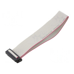 Cablu Panglică IDC 1mm 0,3m | Electronic-mag.ro | Componente Electronice