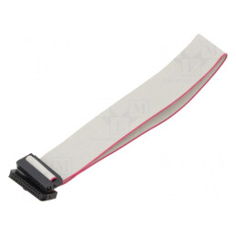 Cablu Panglică 0,3m cu Conectori IDC - 1mm | Electronic-mag.ro | Componente Electronice